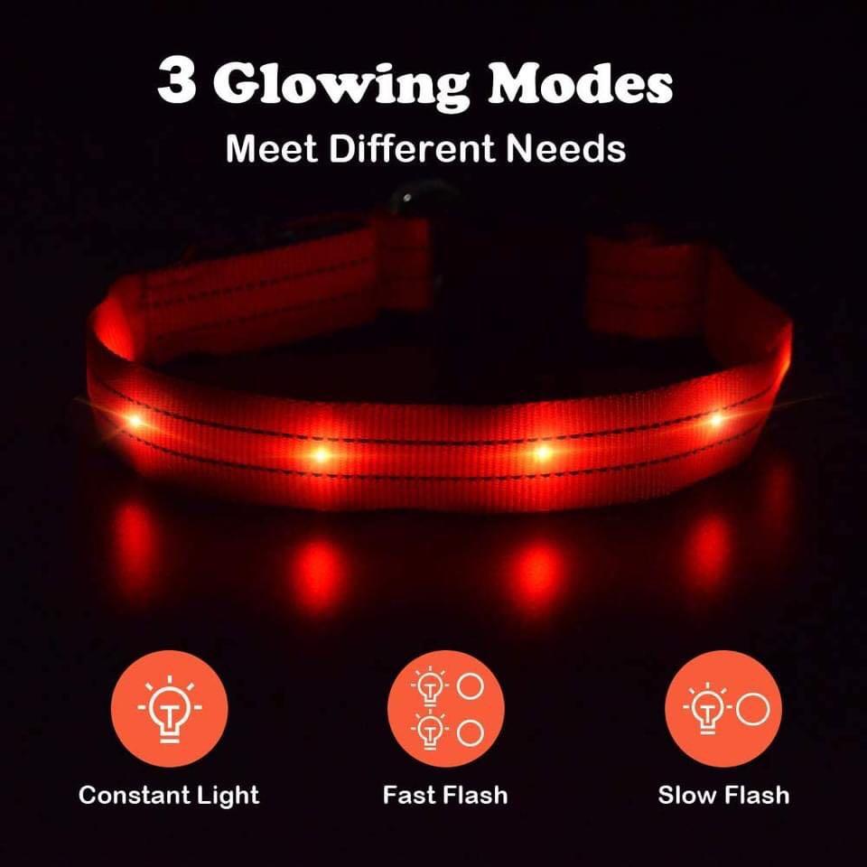 طوق LED من PUMAILA مقاس S