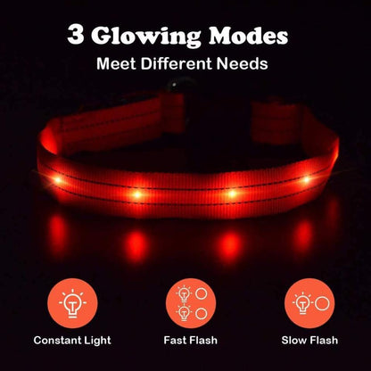 طوق LED من PUMAILA مقاس S