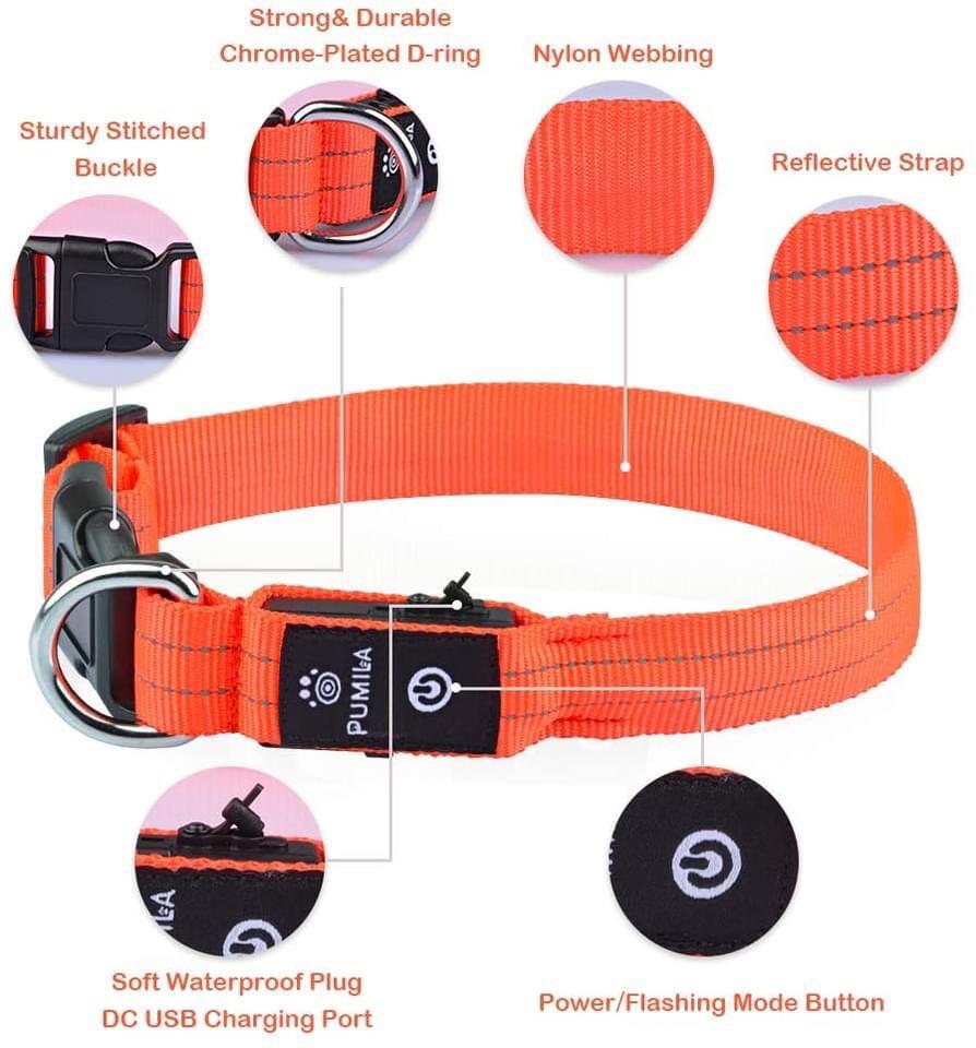 طوق LED من PUMAILA مقاس S