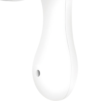 لابردنی لینت