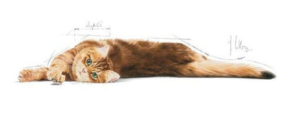 ڕۆیاڵ کانین بۆ هەرسکردن 2Kg