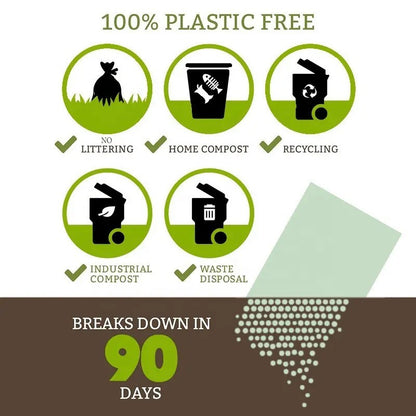 کیسی پیسایی/پاشماوە 16X