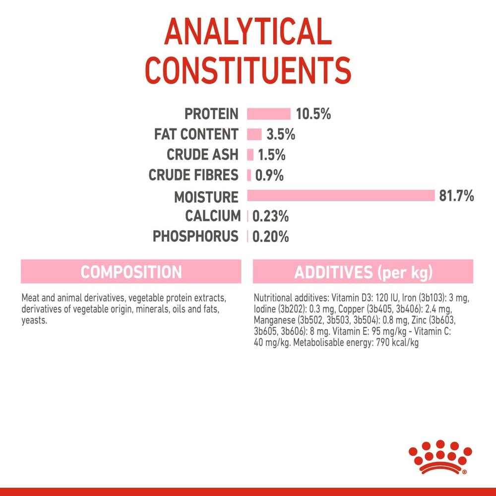 ڕۆیاڵ کانین کیتن تەعقیمکراو 12X