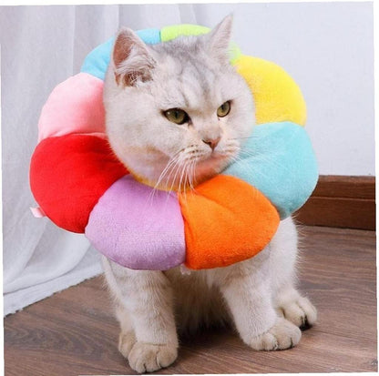 Protective Collar - S