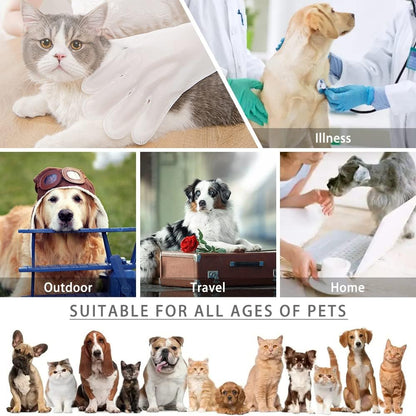 دەستکێشی مەسحی شێدار 6x 