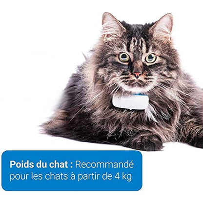 جی پی ئێسی تراکتیڤ