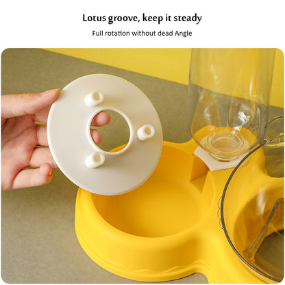 Dual Feeder & Water dispenser