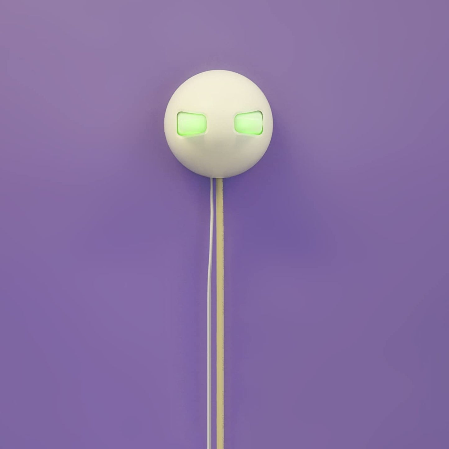 SureFlap Smart Flap Door + Hub