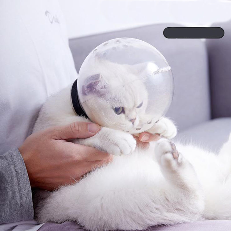 Cat Space Hood L