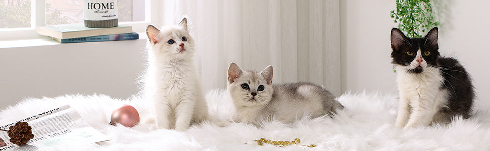 برج شجرة القطط متعدد المستويات - الموديل 12 