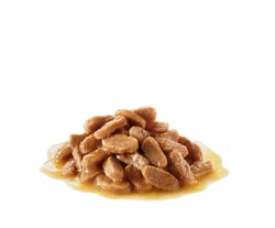 ڕۆیاڵ کانین ماکسی پاپی 10X