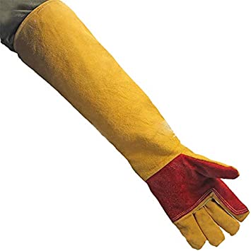 قفازات حماية المخالب قطعتين