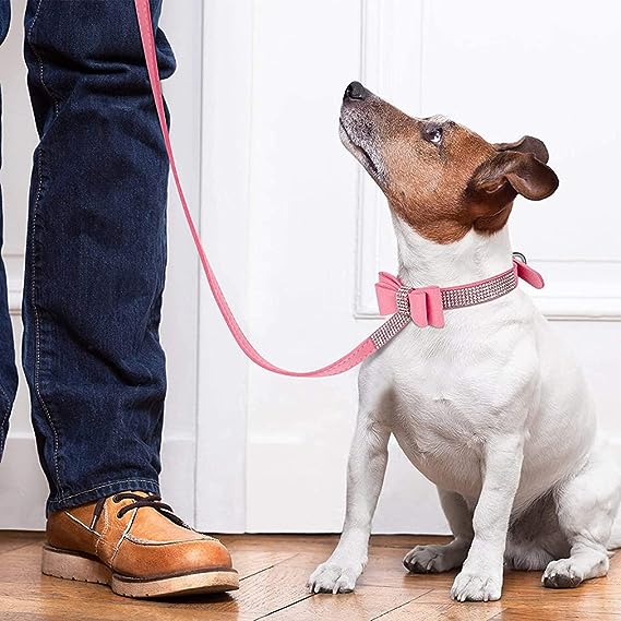 کۆلارە ئێکس ئێس