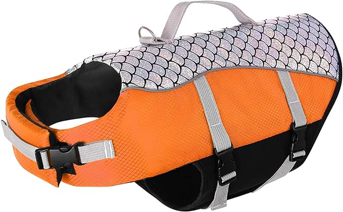 سترة الكلب S