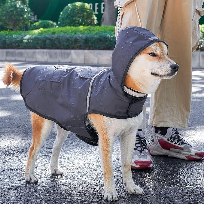 Dog Jacket S