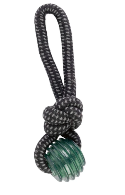 ألعاب العناية بأسنان الكلاب