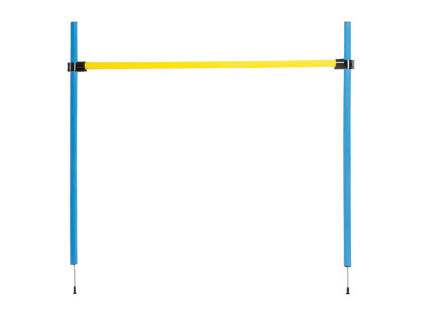 العاب الكلاب