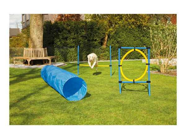 العاب الكلاب