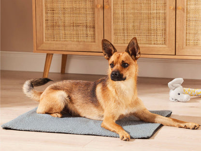 پادی ئاژەڵە ماڵیەکان 60سم