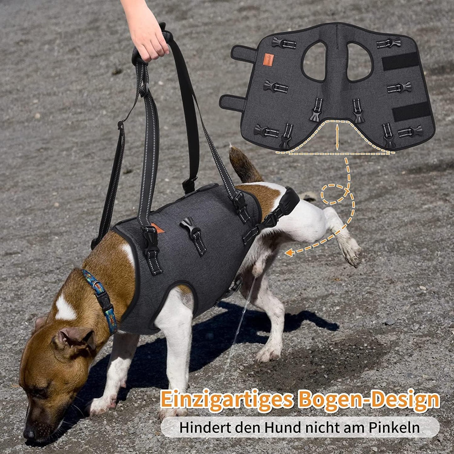 حزام رفع الكلب