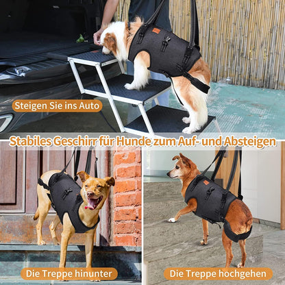 حزام رفع الكلب