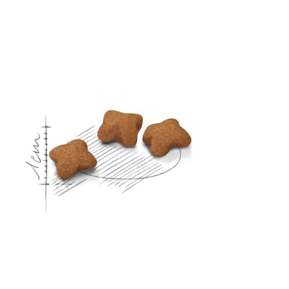 Royal Canin kitten Sterilized 2Kg