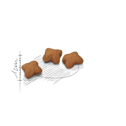 Royal Canin kitten Sterilized 2Kg