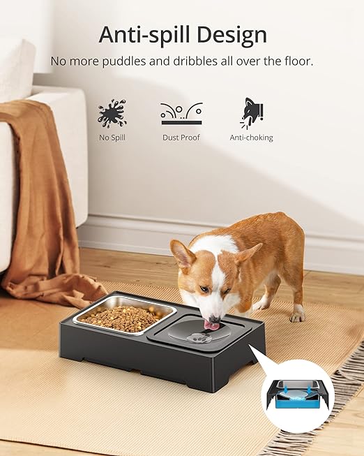 وعاء مرتفع للكلاب من PETACE مقاس 15 سم 