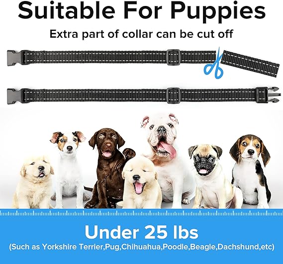 طوق النباح PcEoTllar 