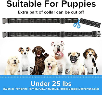 طوق النباح PcEoTllar 