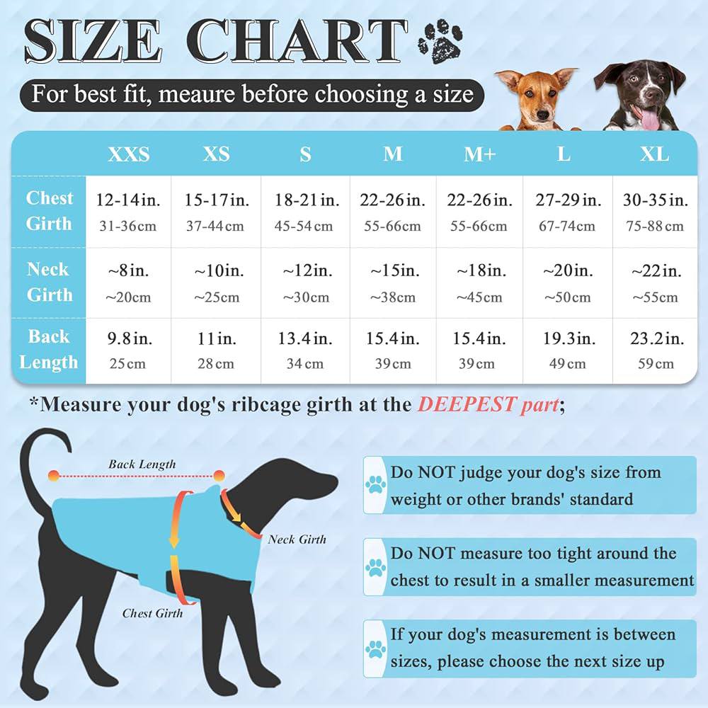سترة من الصوف VIVAGLORY مقاس XS
