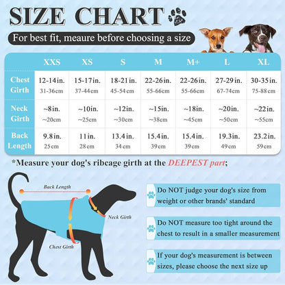 سترة من الصوف VIVAGLORY مقاس XS