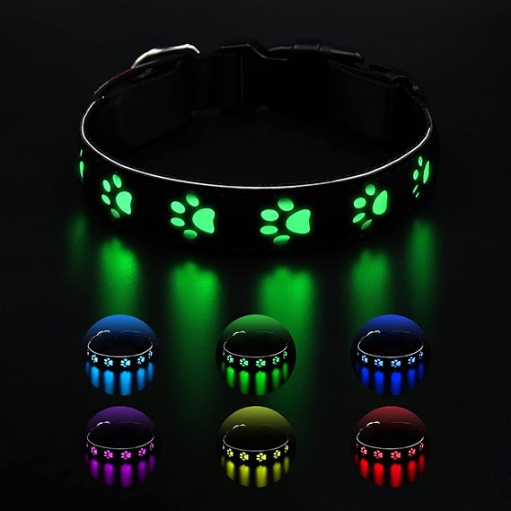 طوق الضوء oGoDeal 