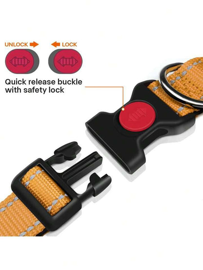 طوق الكلب Taglory S