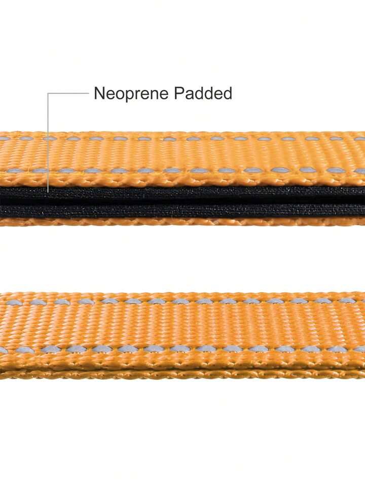 طوق الكلب Taglory S