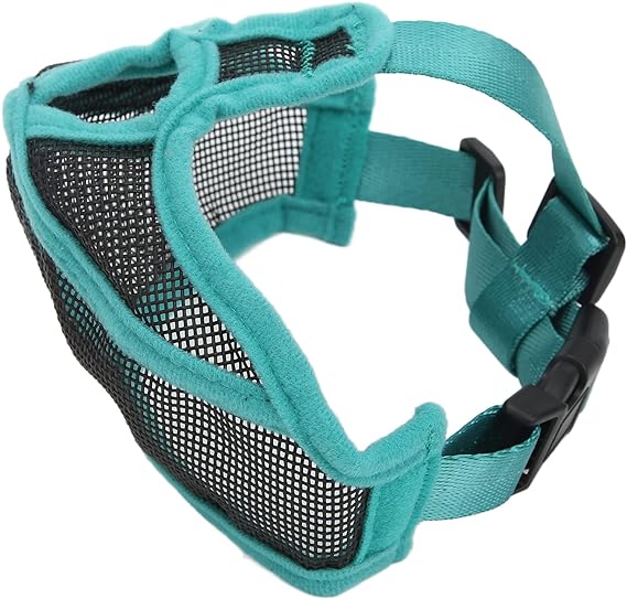 دەم و چاوی بولدۆگی کورتی پووک