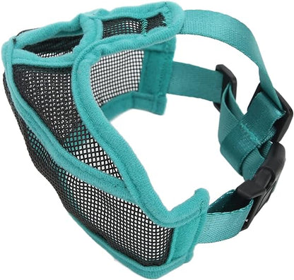 دەم و چاوی بولدۆگی کورتی پووک