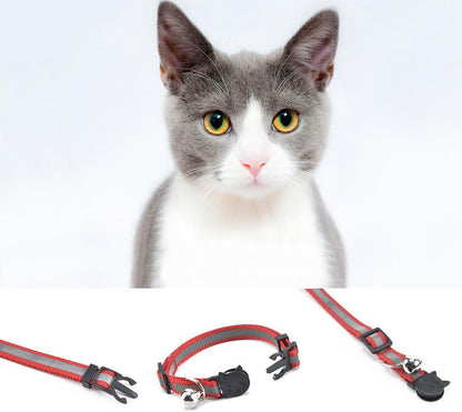 کۆلارەی پشیلەی پێتبێمۆ