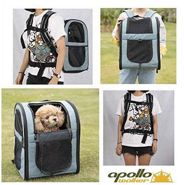 Apollo Pet Backpack