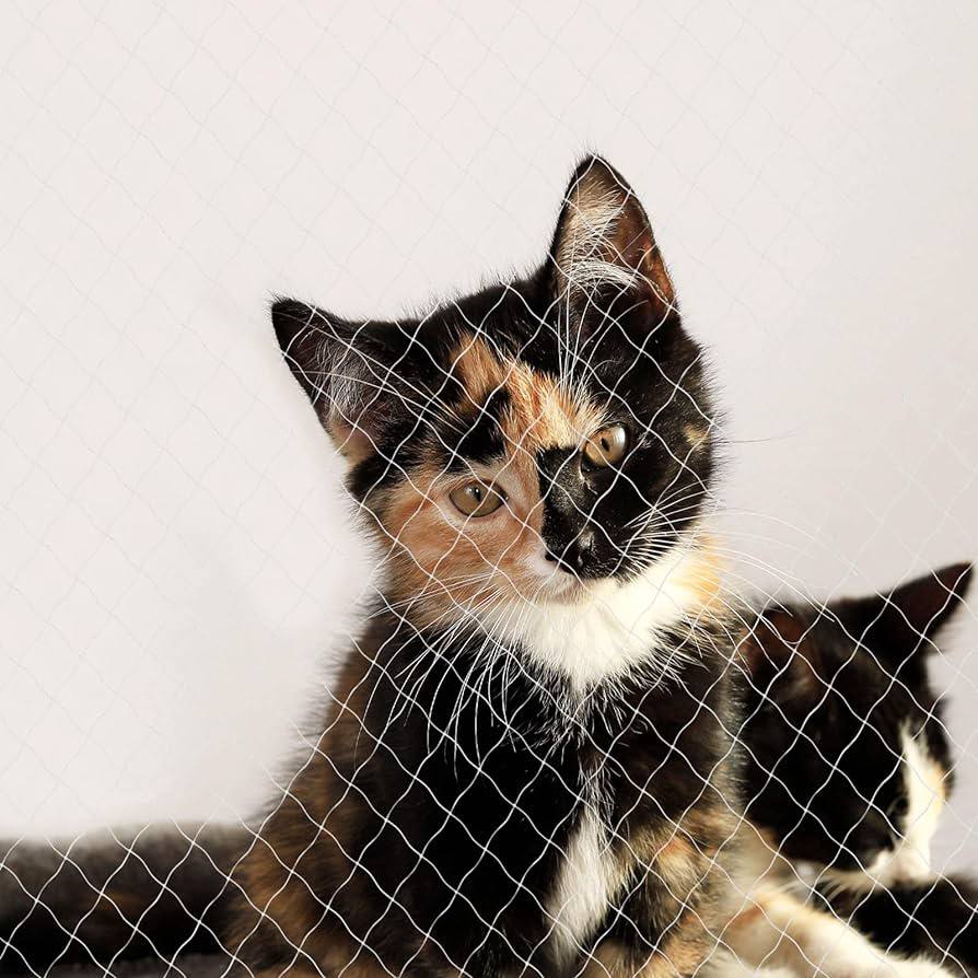 piupet تۆڕی باڵکۆنی پشیلە