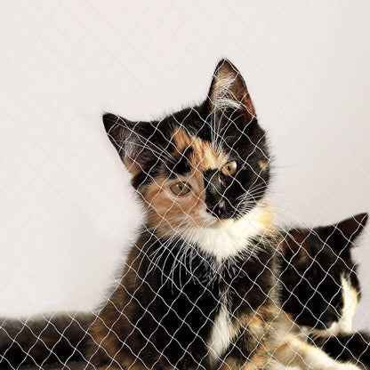 piupet تۆڕی باڵکۆنی پشیلە