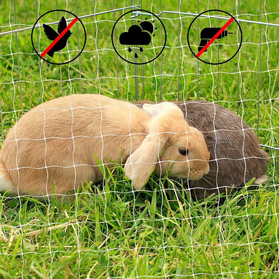 piupet تۆڕی باڵکۆنی پشیلە