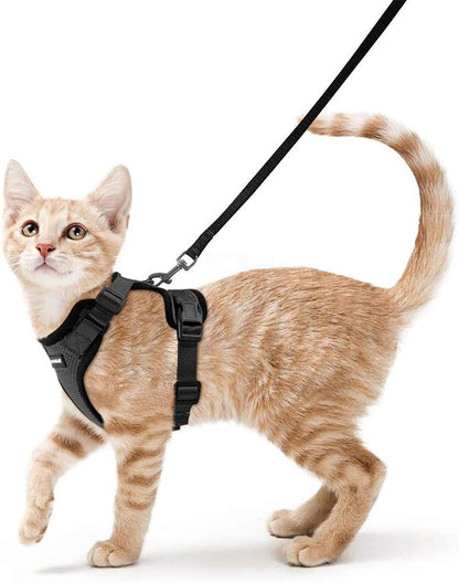 Cat Harness S