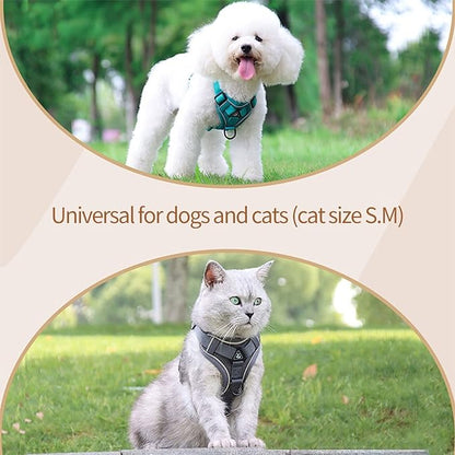 مقود الكلب مع حبل S