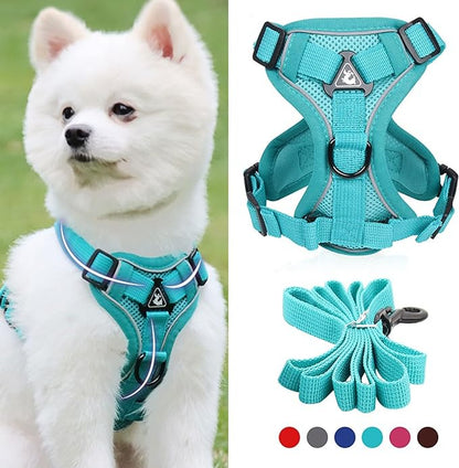 مقود الكلب مع حبل S