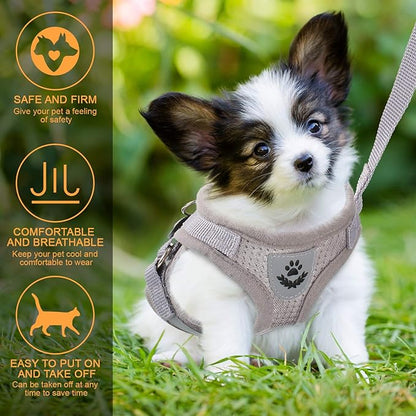 حزام جرو/قطة S 