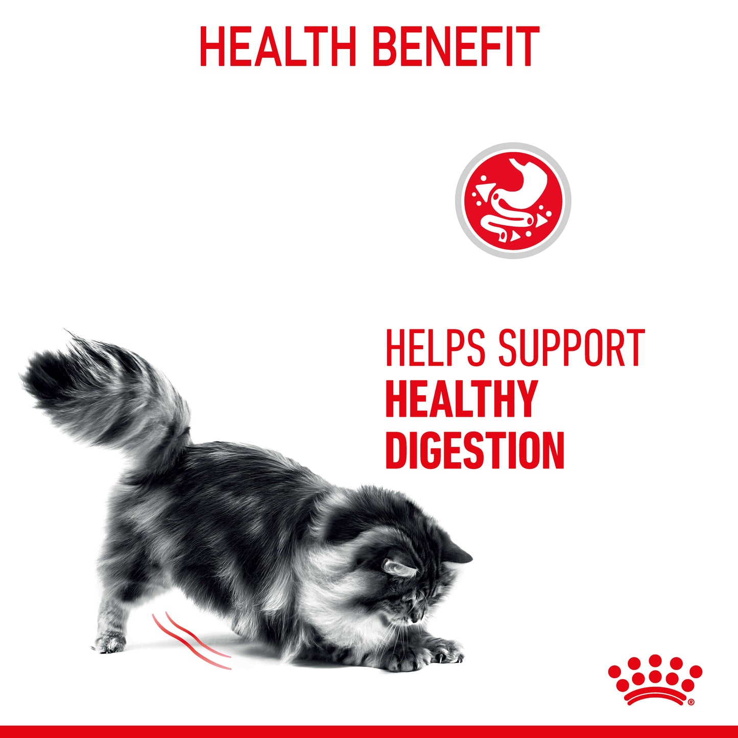 Royal Canin Digest Sensitive 12X