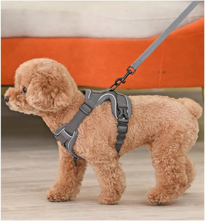 YOYOLI Traction Rope Cat And Dog Traction Rope Vest Large L