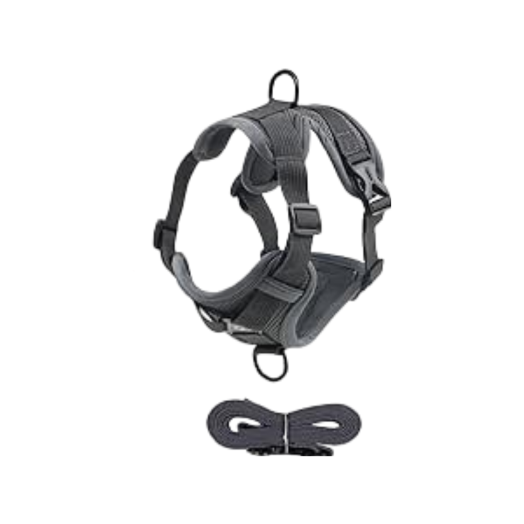 2 Pieces Dog Harness and Leash Set MEDIUM M