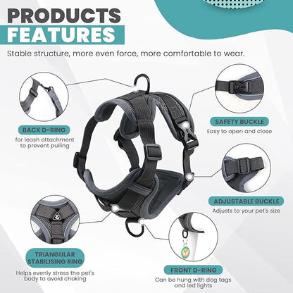 2 Pieces Dog Harness and Leash Set MEDIUM M